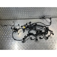 Проводка двигателя Mercedes-Benz ML W164 [рестайлинг] 2010 A2730103002,A2731590125