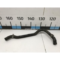 Патрубок Ford Kuga (2012 - 2019) 1465468