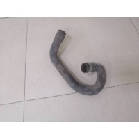 Патрубок радиатора охлаждения Ford Ford C-MAX 2003-2010 1384148