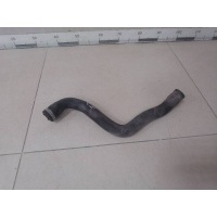 Патрубок радиатора охлаждения Ford Ford C-MAX 2003-2010 1490677