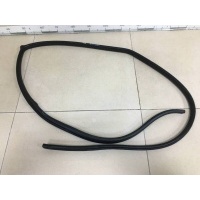 Уплотнитель проема двери задней левой Chevrolet Chevrolet Captiva (C100) 2006-2011 95028342