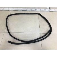 Уплотнитель проема двери задней правой Chevrolet Chevrolet Captiva (C100) 2006-2011 95028343