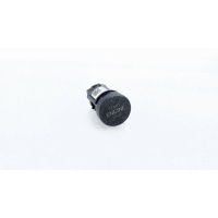 Кнопка старт стоп Skoda Octavia A8 2022 3V0905217BWHS, 3V0905217B