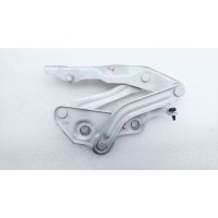 Петля капота Skoda Octavia A8 2022 5E3823301