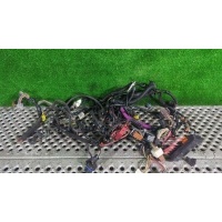Проводка двигателя Renault Megane 2 2006 8200553441, 8200491428