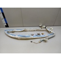 Подушка безопасности боковая (шторка) Chery Exceed VX 2021 407000106AA