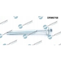DR.MOTOR DRM0768 żruba , wtryskiwacz