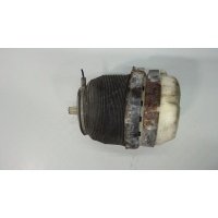 Пневмоподушка зад. Audi A6 (C6) Allroad 2006-2008 2006