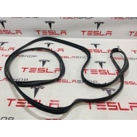 Уплотнитель Tesla Model X 2016 1032470-75-C,1118638-00-F