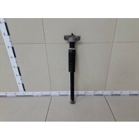 Амортизатор задний Chevrolet Chevrolet Aveo T300 2011> 95479781, 343459