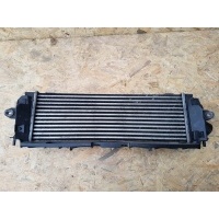 OPEL VIVARO TRAFIC INTERCOOLER 2.5 DCI 8200411160