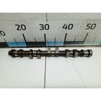 Распредвал впускной GM Astra G (1998 - 2005) 24433073