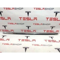 Молдинг двери задней левой Tesla Model X 2019 1032167-88-D,1032175-00-C
