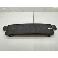 Бленда (накладка под номер) Volkswagen Passat B5 1997 3B0807719