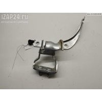 Петля крышки (двери) багажника R Audi A4 B6 (2001-2004) 2004 8E9827300E