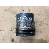 Поршень DAF XF 105 2013 1865031,130127