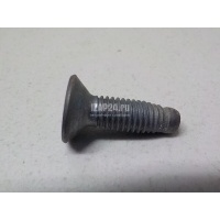Болт Renault Megane II (2003 - 2009) 7703004170