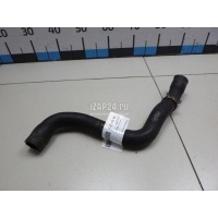 Патрубок радиатора Ford C-MAX (2003 - 2010) 1490677