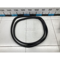 Уплотнитель стекла двери Renault Scenic RX4 (2000 - 2003) 8200041509