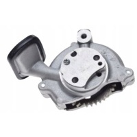 В сборе насос масляный масляный quad atv kingway traper 250cc oem !