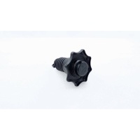 Болт крепления запасного колеса Skoda Kodiaq NS7 2020 5Q0803899
