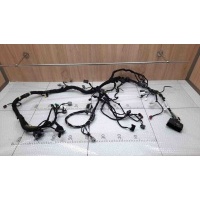Проводка (коса) подторпедная Ford EcoSport 2013+	1.5 Дизель 2050783