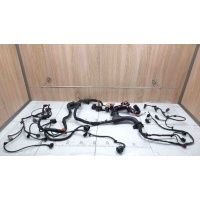Проводка (коса) двигателя Audi A6 C6 2005-2011	2.0 4F1971072NN