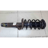 Амортизатор передний в сборе Volkswagen Passat B6 2005-2010	Skoda 3C0413031AA