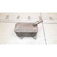 Радиатор масляный Volkswagen Passat B6 2005-2010	Audi 06D117021C