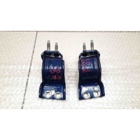 Петля двери багажника (к-кт) Volkswagen Passat B6 2005-2010	VW 3C9827301E