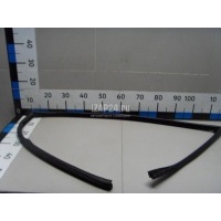 Уплотнитель стекла двери BMW X5 E53 (2000 - 2007) 51327020577