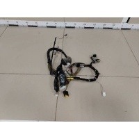 Проводка двери Nissan Nissan Tiida (C11) 2007-2014 24125EM02A