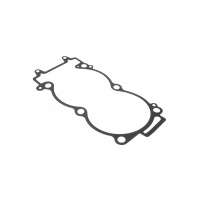 Polaris 5253037 уплотнитель головки