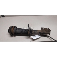 Пыльник заднего амортизатора Hyundai-Kia Spectra (2001 - 2011) 0G03028015B