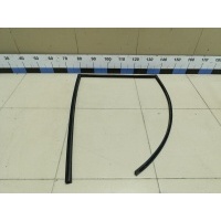 Уплотнитель стекла двери NISSAN Tiida (C11) 2007-2014 82330EL40A