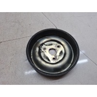Шкив водяного насоса (помпы) Citroen-Peugeot 207 (2006 - 2013) 120447