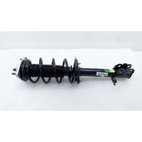 Амортизатор подвески Chery Tiggo 4 Pro T19 2024 202000957AA, 202000260AA