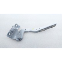 Петля капота Chery Tiggo 4 Pro T19 2024 J268402030