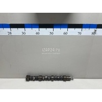 Распредвал Mitsubishi Pajero/Montero III (V6, V7) (2000 - 2006) MD373705