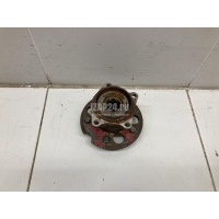 Ступица задняя Toyota RAV 4 (2000 - 2005) 4241042020