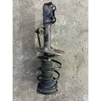 Амортизатор передний Toyota Rav 4 (CA40) (2012-2019) 2013 4851080644