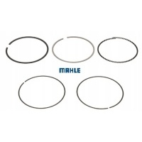 Mahle 0000
