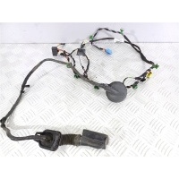 Проводка двери передней правой Volkswagen Passat B8 2017 3G2971121M