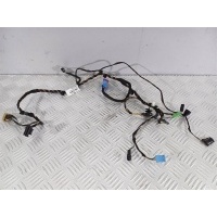 Проводка двери передней левой Volkswagen Passat B8 2017 3G2971558