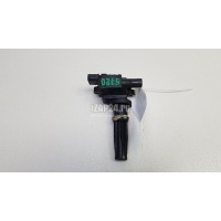Катушка зажигания Hyundai-Kia Trajet (2000 - 2009) 2730138020