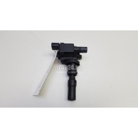 Катушка зажигания Hyundai-Kia Trajet (2000 - 2009) 2730138020
