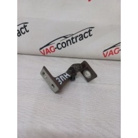 Петля двери нижняя Volkswagen Tiguan 2 8V5833404C, 8X4833406A