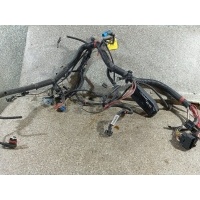 Проводка двигателя 1.4i 8V , обрезан 1 разьем. K7J710 , 5МКПП. Renault Logan 2011 240113053R