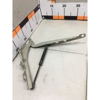 Петля капота правая Volvo 31217345 31217345
