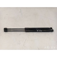 Амортизатор крышки багажника (3-5 двери) Renault Megane 3 2014 904510001R